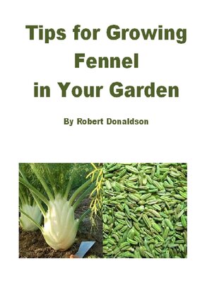 cover image of Tips for Growing Fennel in Your Garden